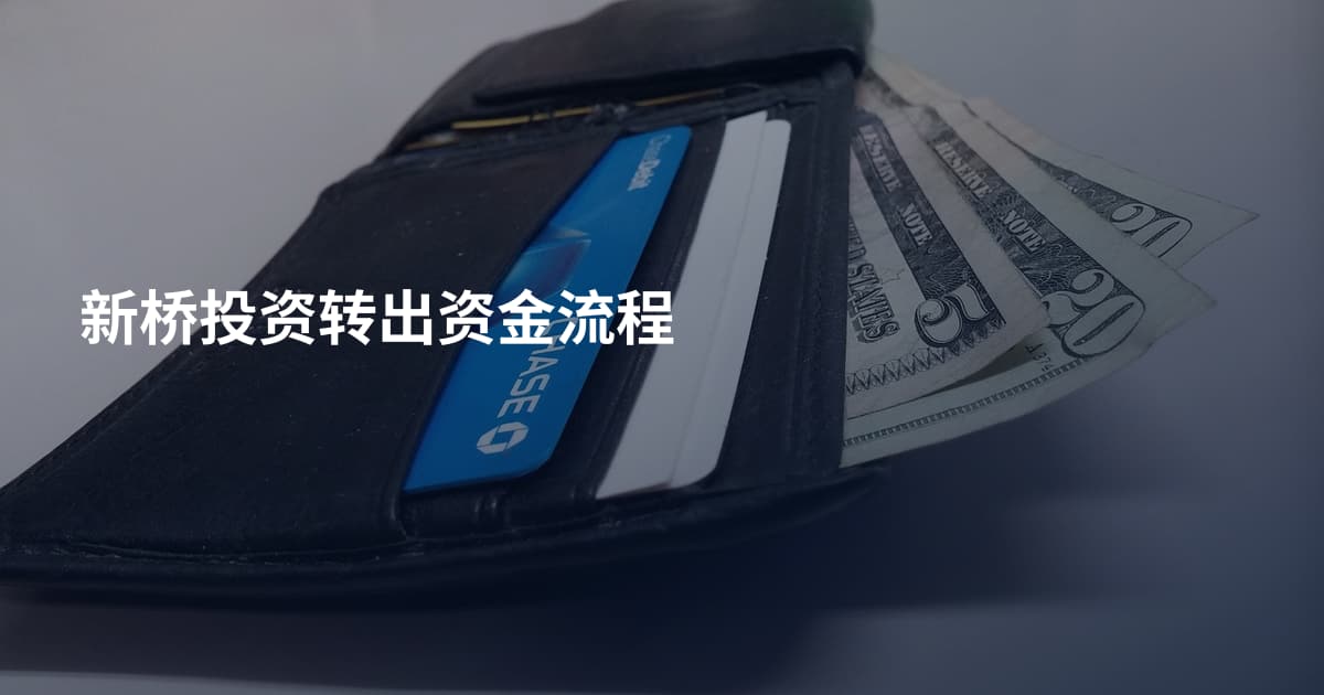 新桥投资转出资金流程