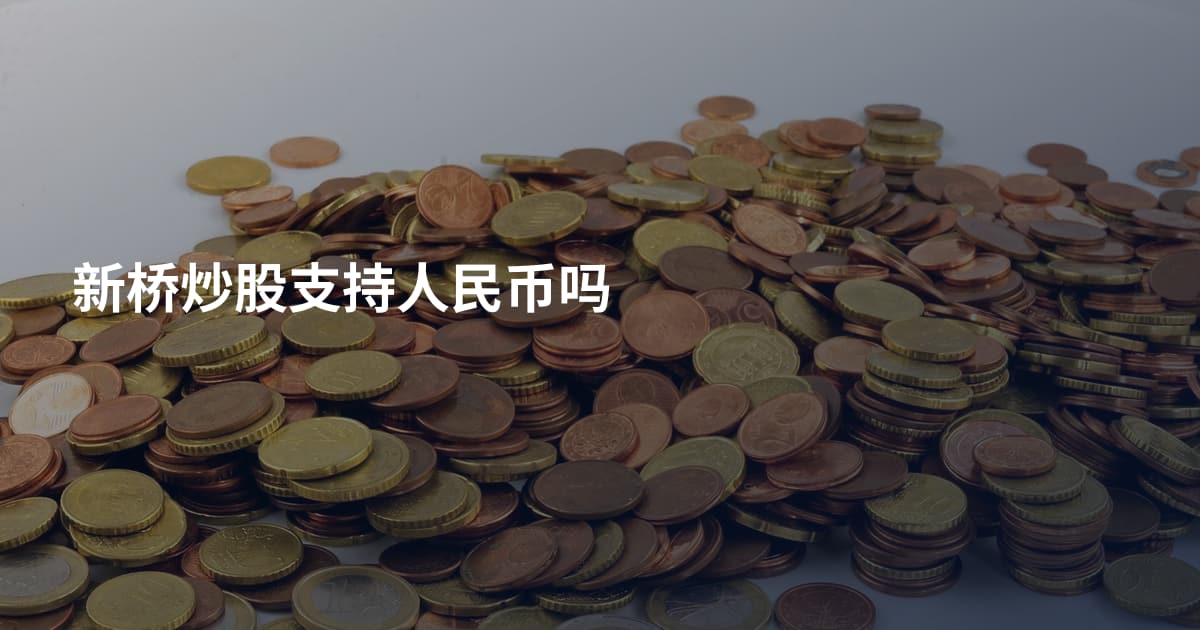 新桥炒股支持人民币吗