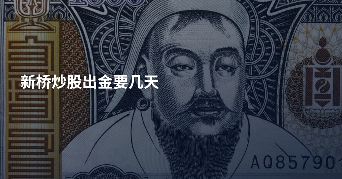 新桥炒股出金要几天