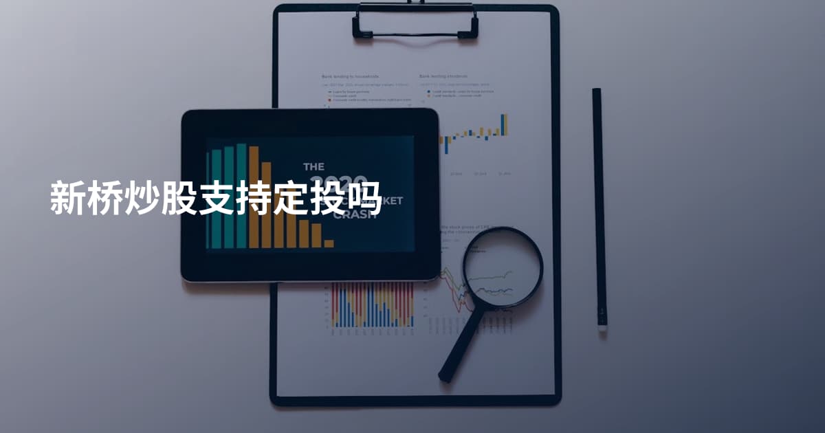新桥炒股支持定投吗