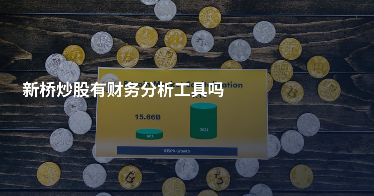 新桥炒股有财务分析工具吗