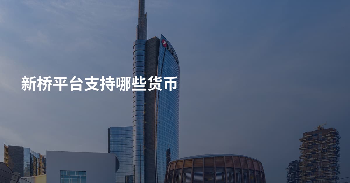 新桥平台支持哪些货币