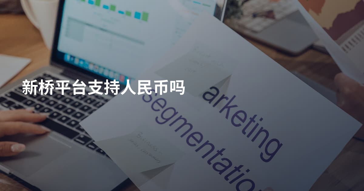 新桥平台支持人民币吗