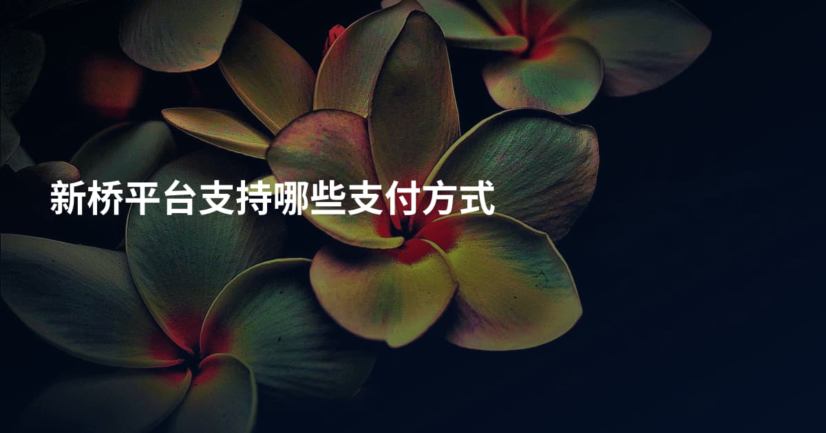 新桥平台支持哪些支付方式
