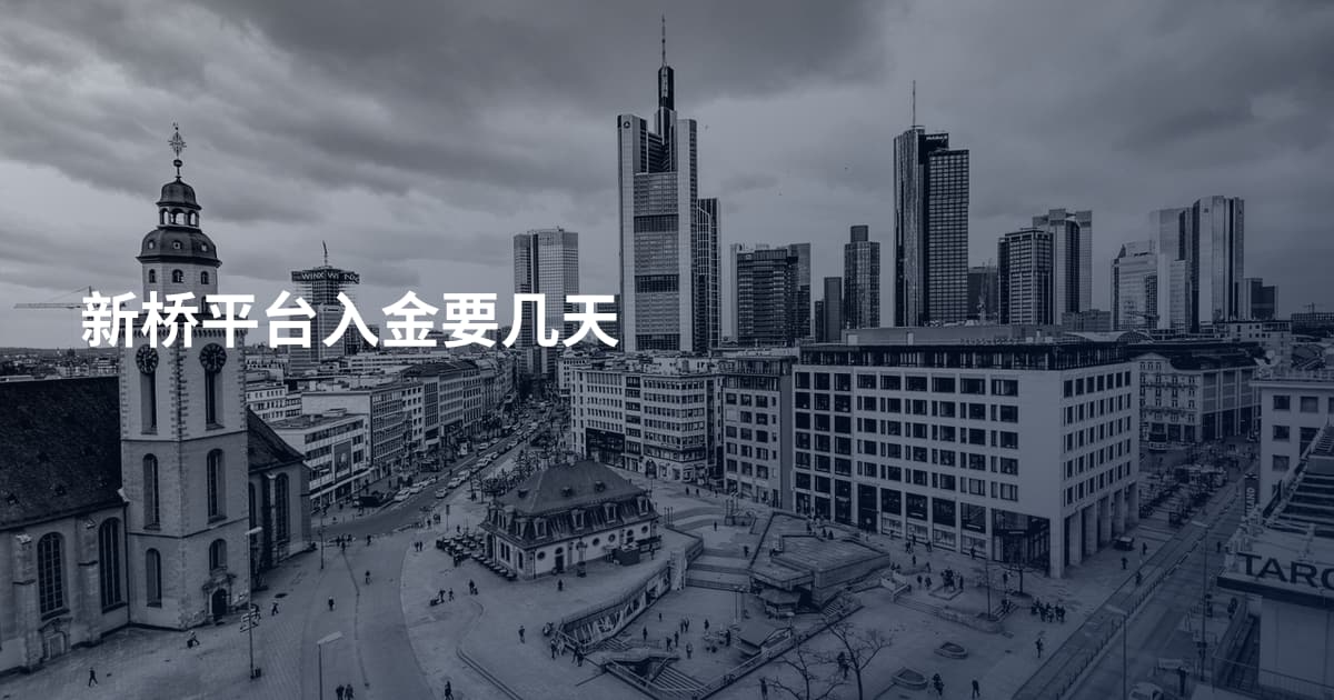 新桥平台入金要几天