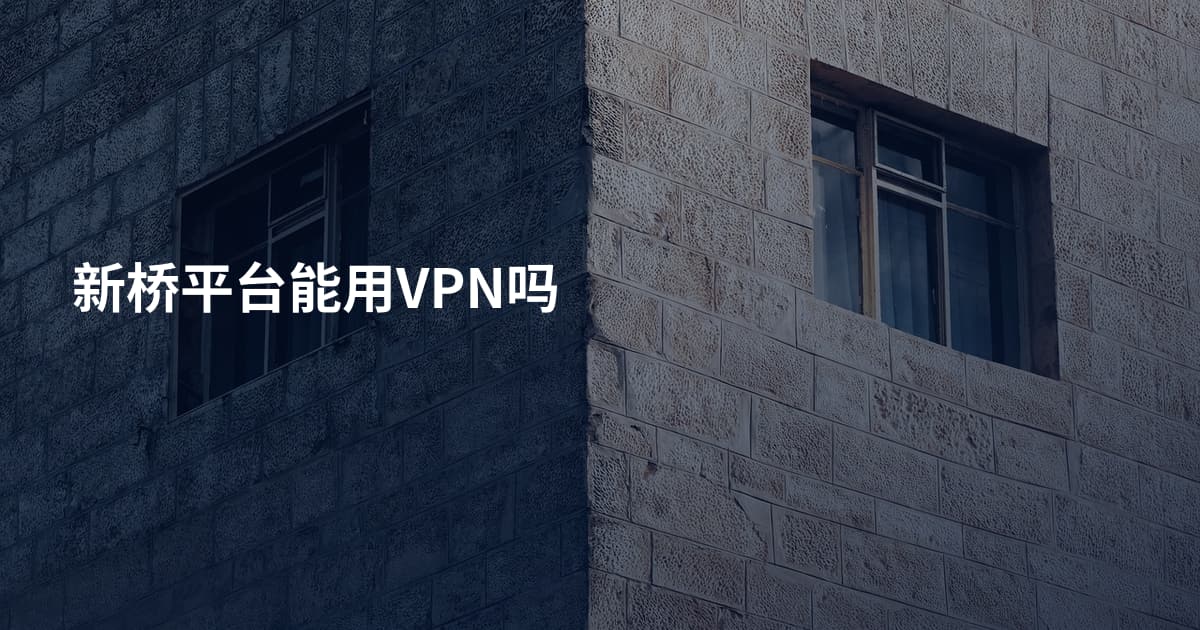 新桥平台能用VPN吗