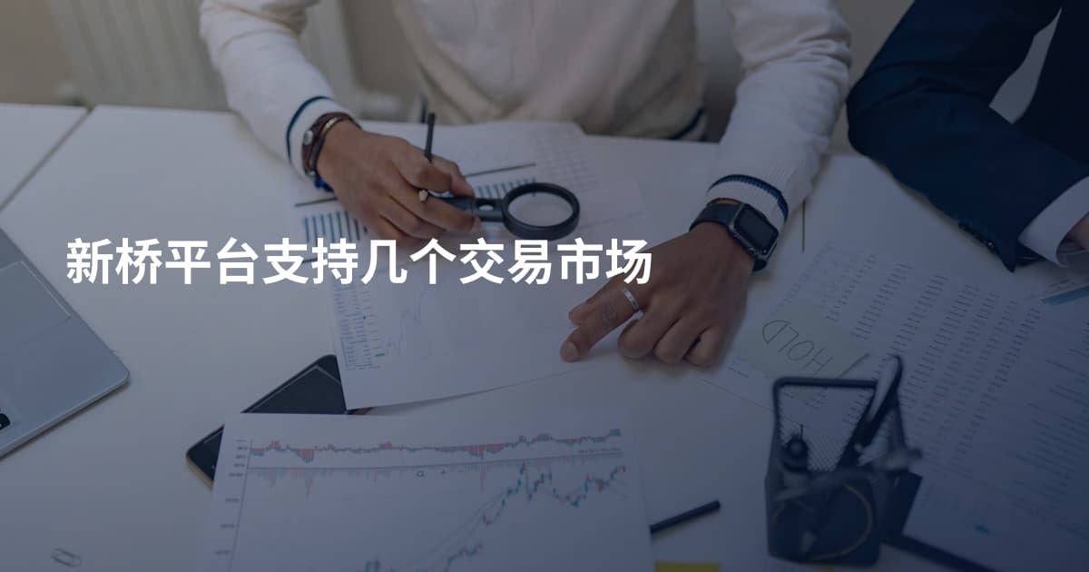新桥平台支持几个交易市场