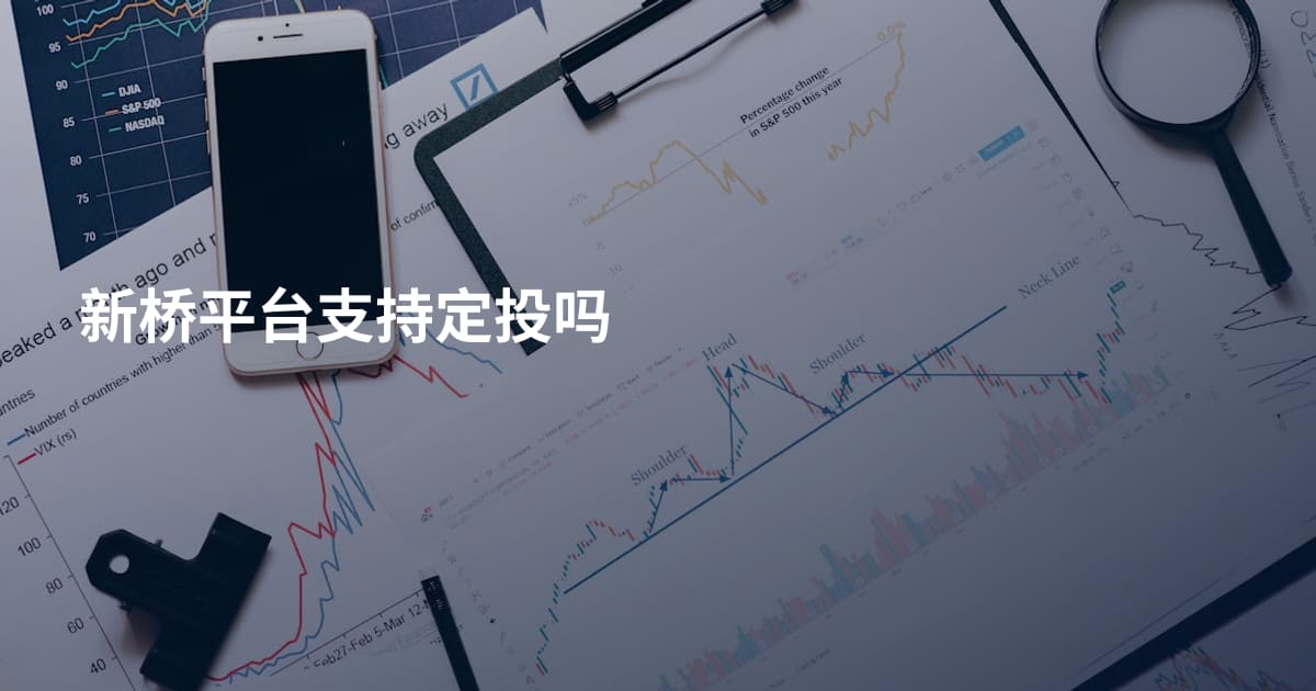 新桥平台支持定投吗