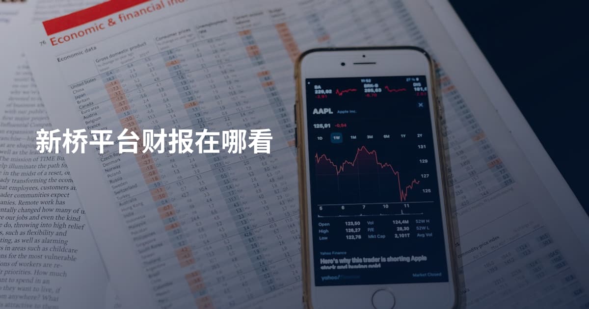 新桥平台财报在哪看