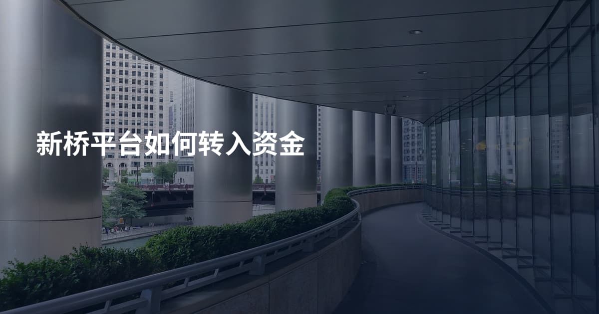 新桥平台如何转入资金