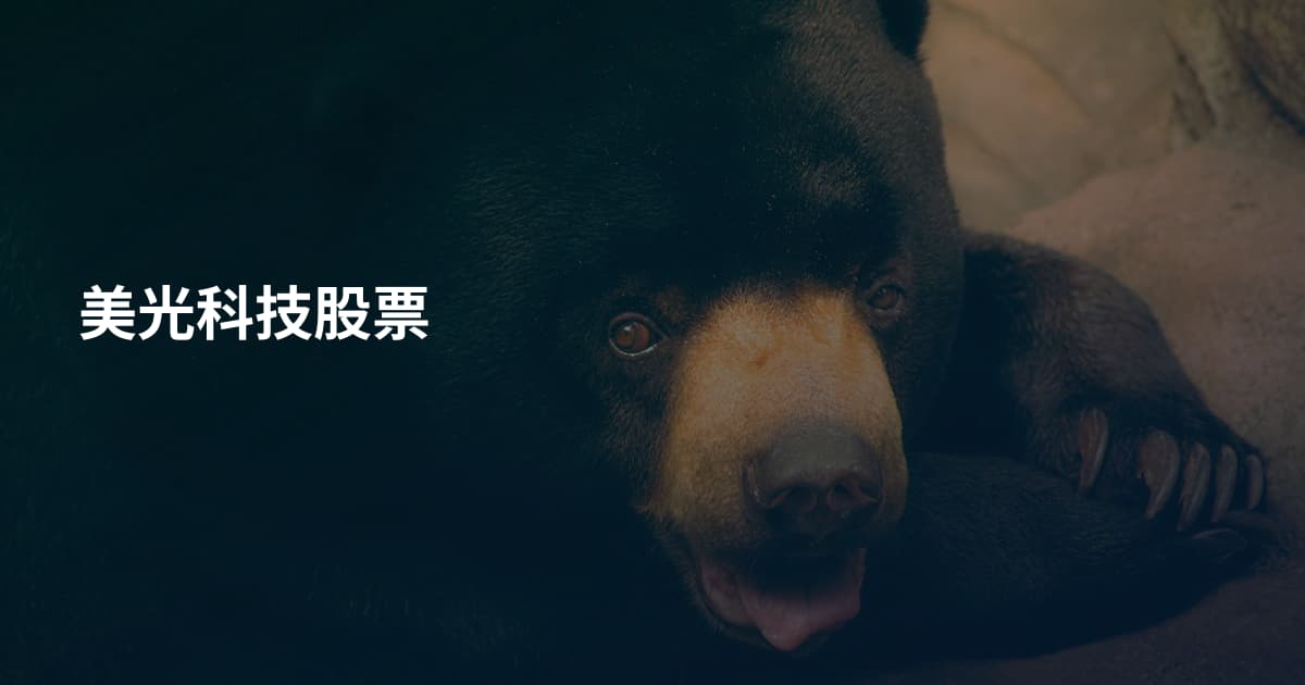 美光科技股票
