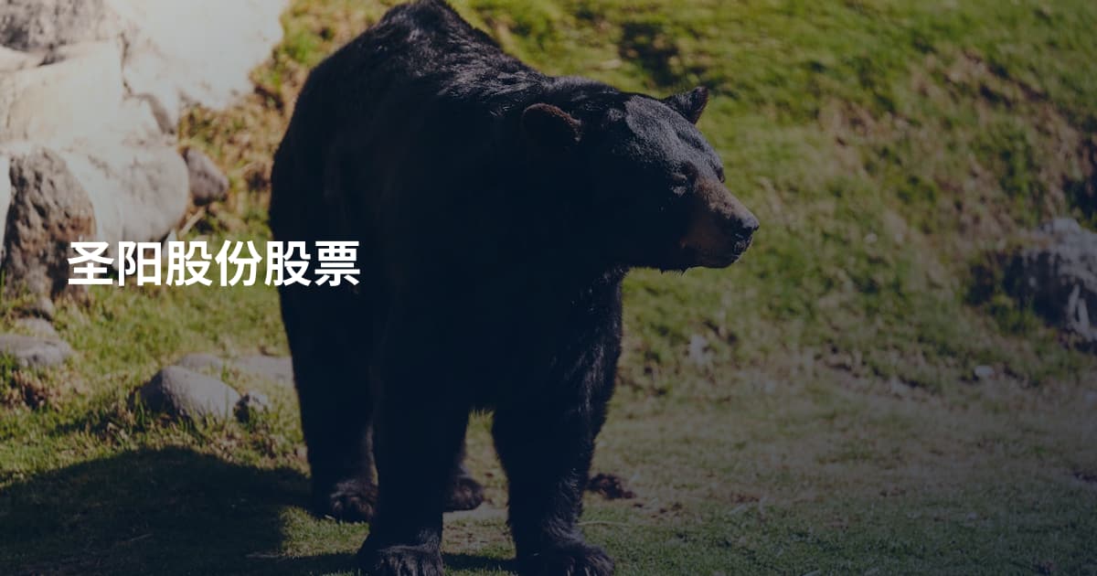 圣阳股份股票