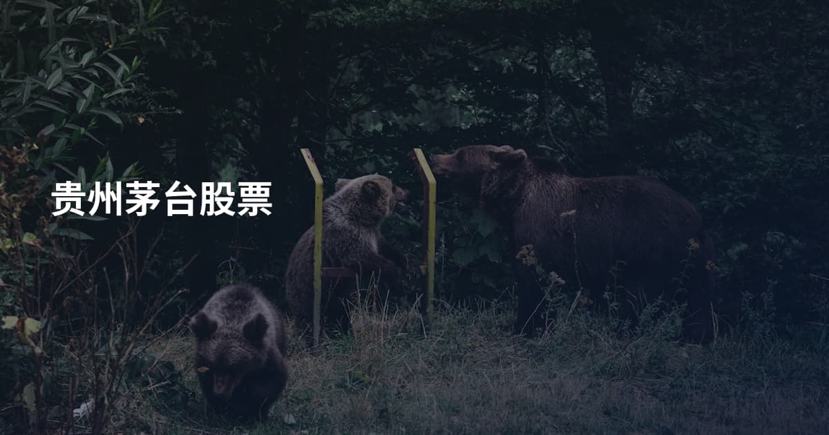 贵州茅台股票