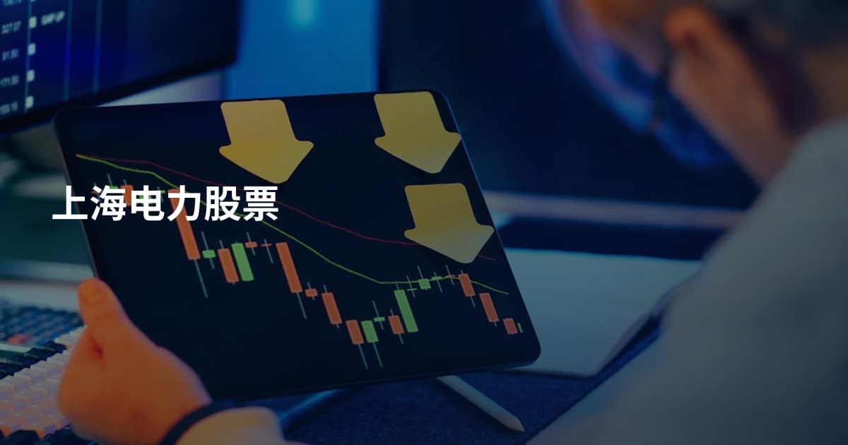 上海电力股票