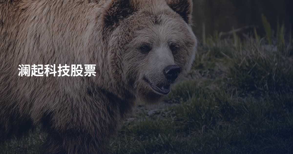 澜起科技股票