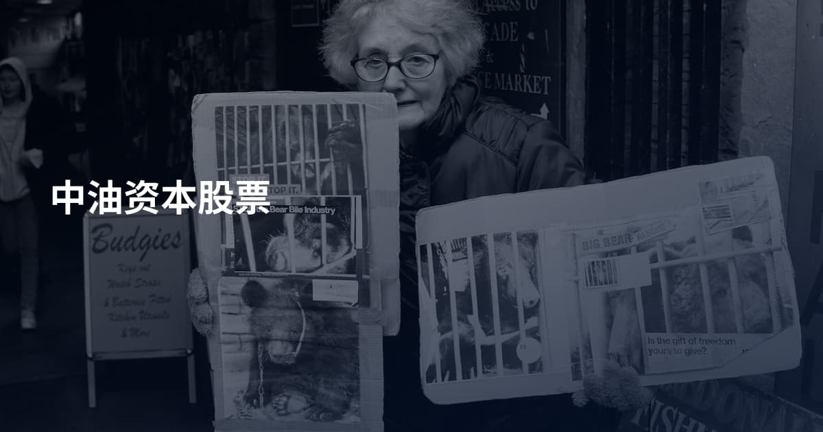 中油资本股票