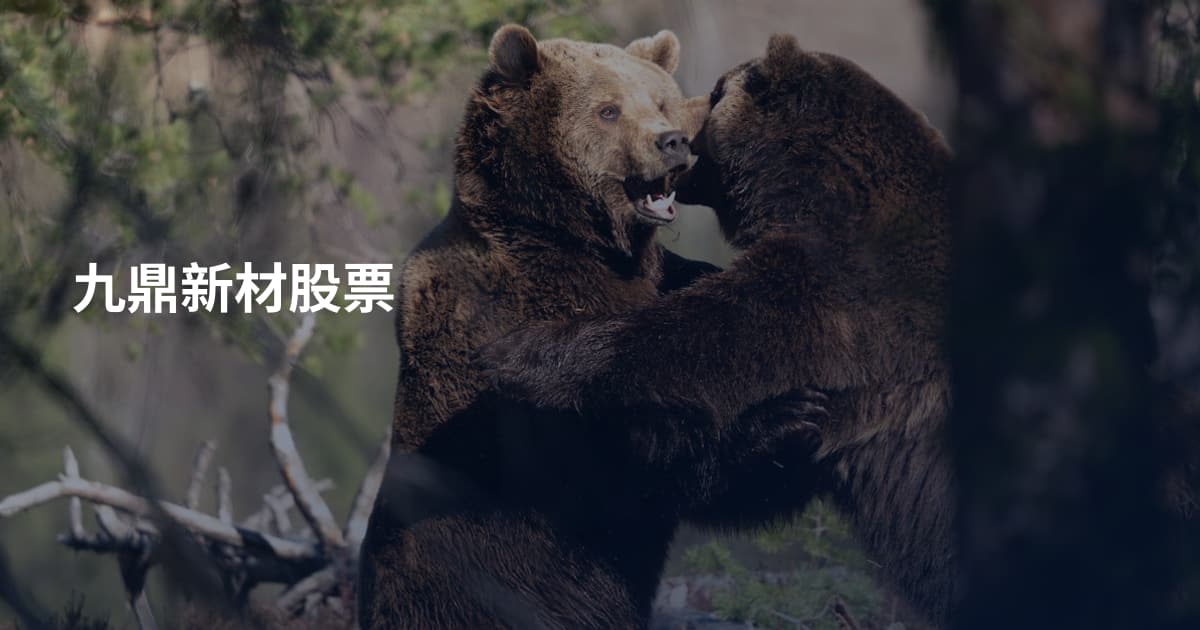 九鼎新材股票