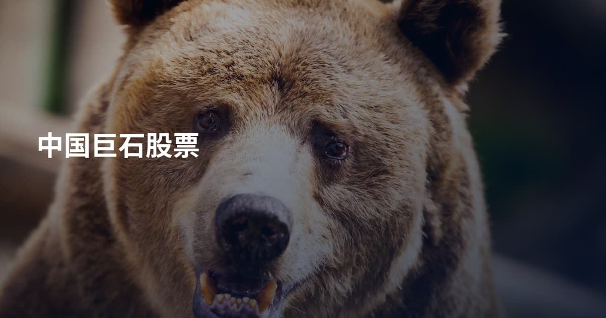 中国巨石股票