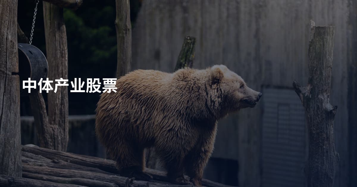 中体产业股票