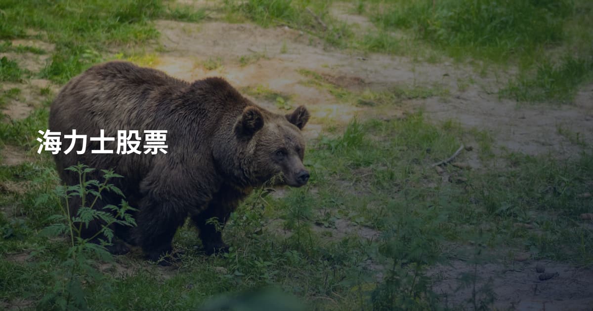 海力士股票
