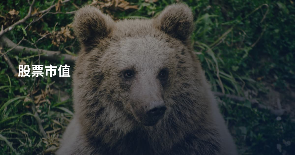 股票市值