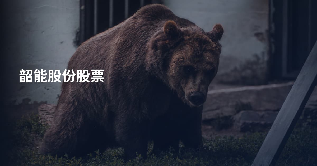 韶能股份股票