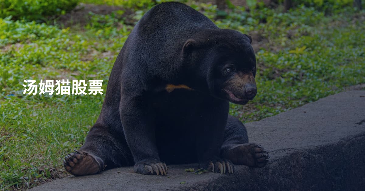 汤姆猫股票
