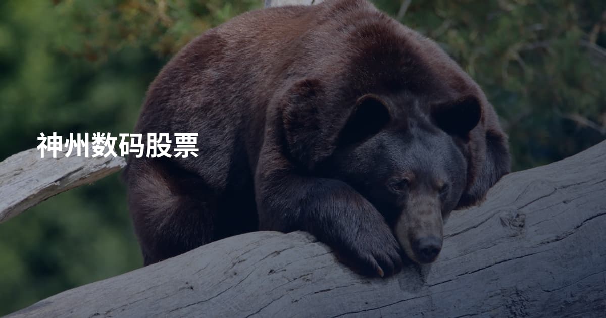神州数码股票