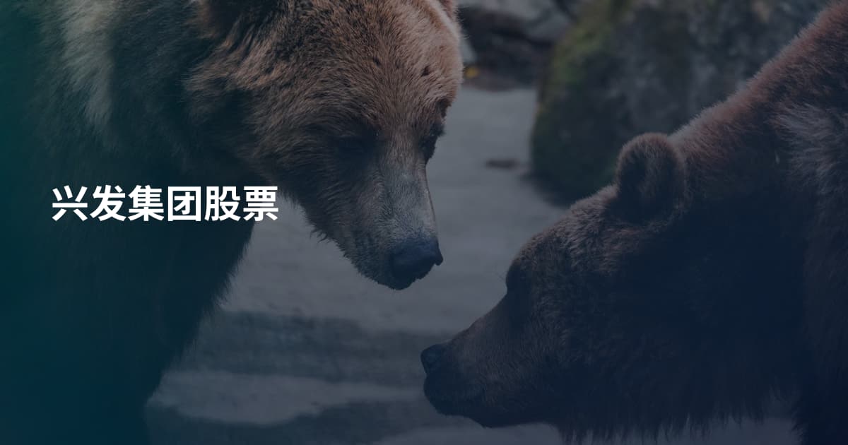 兴发集团股票