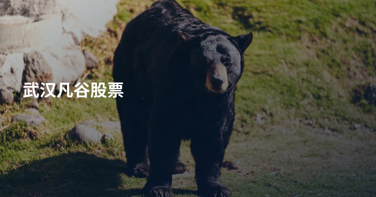 武汉凡谷股票