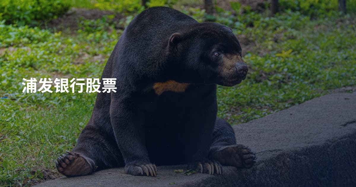 浦发银行股票