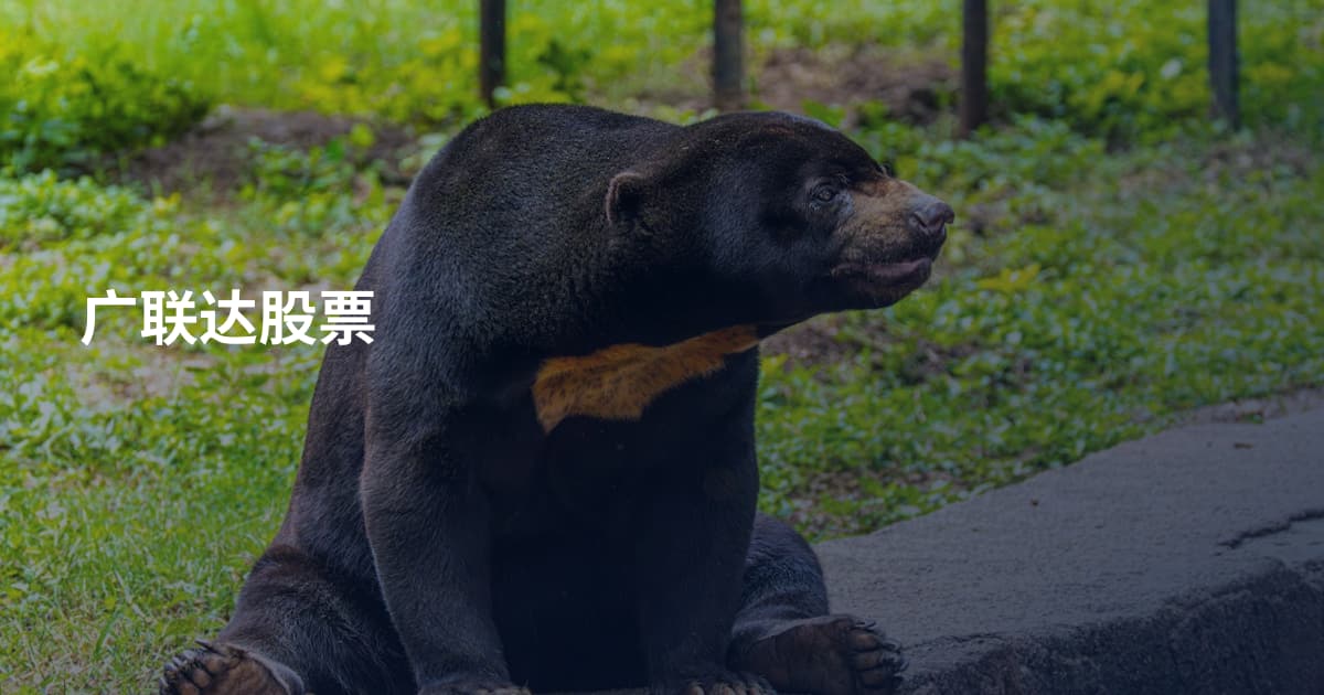 广联达股票