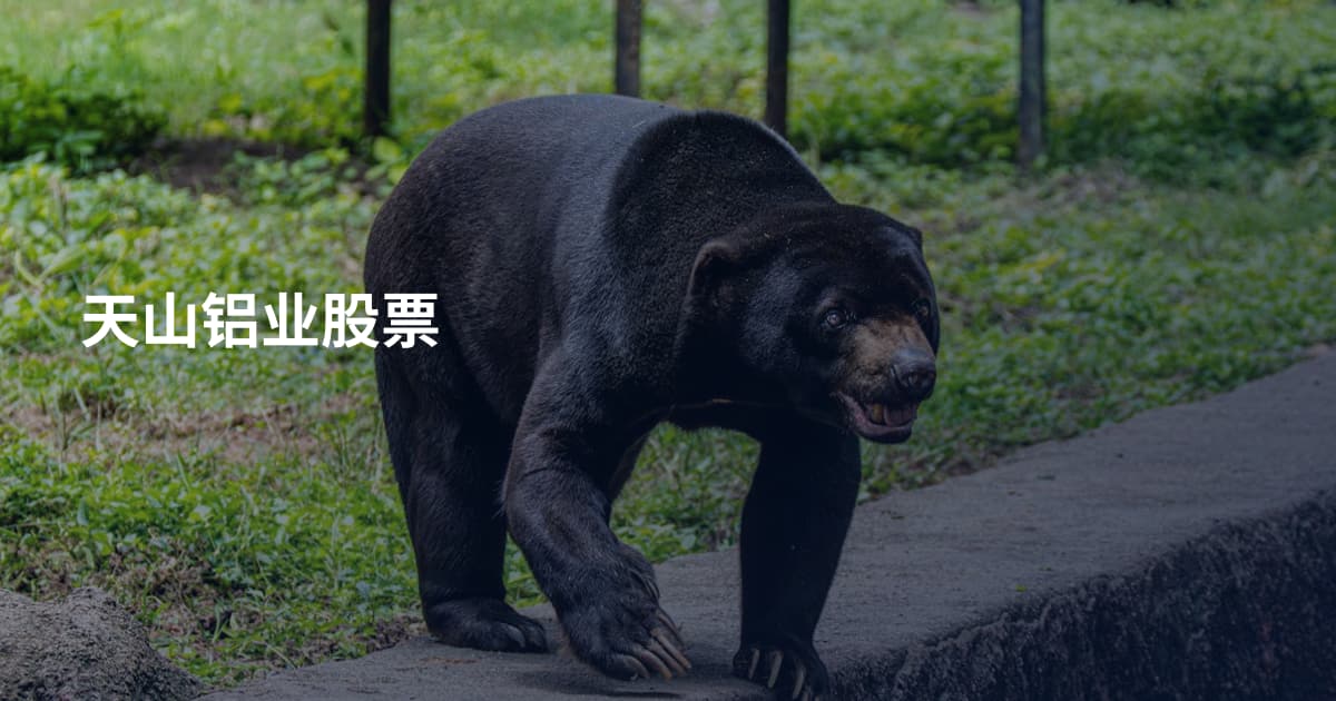 天山铝业股票