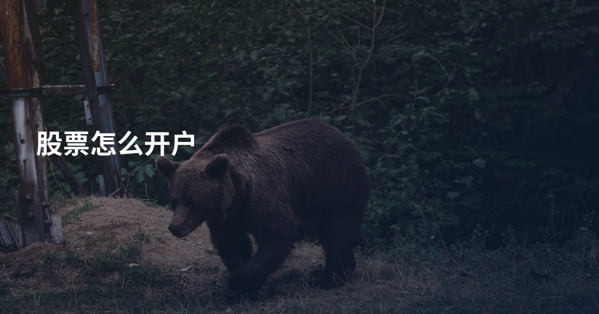 股票怎么开户