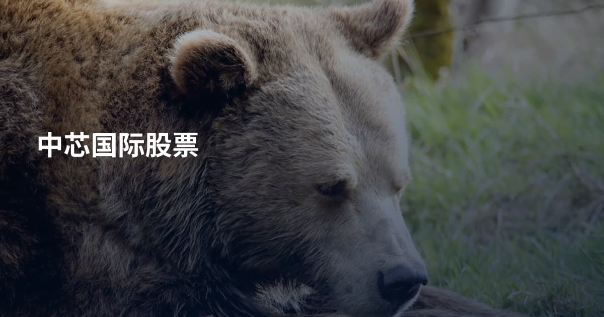 中芯国际股票