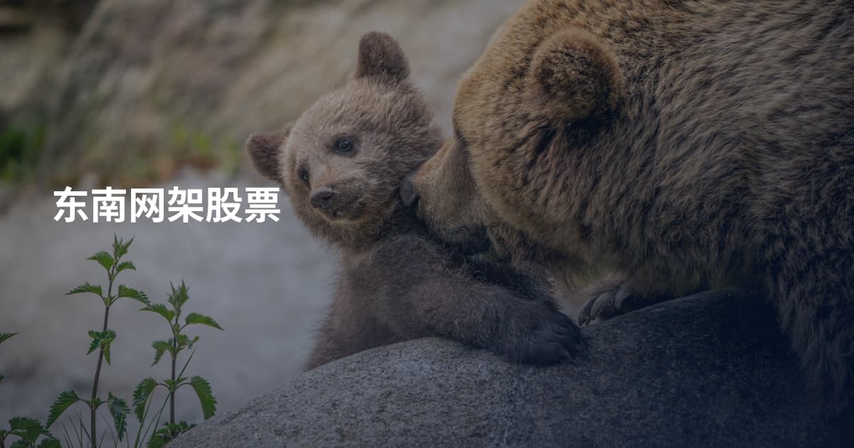 东南网架股票