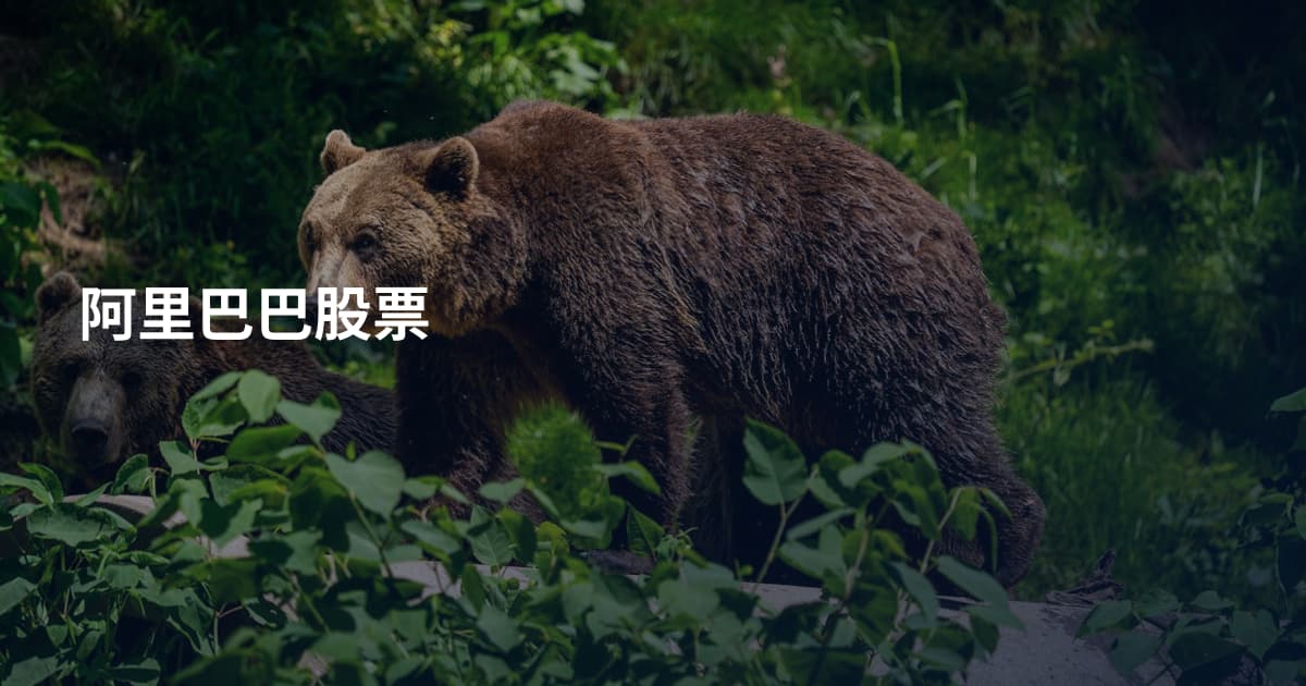 阿里巴巴股票
