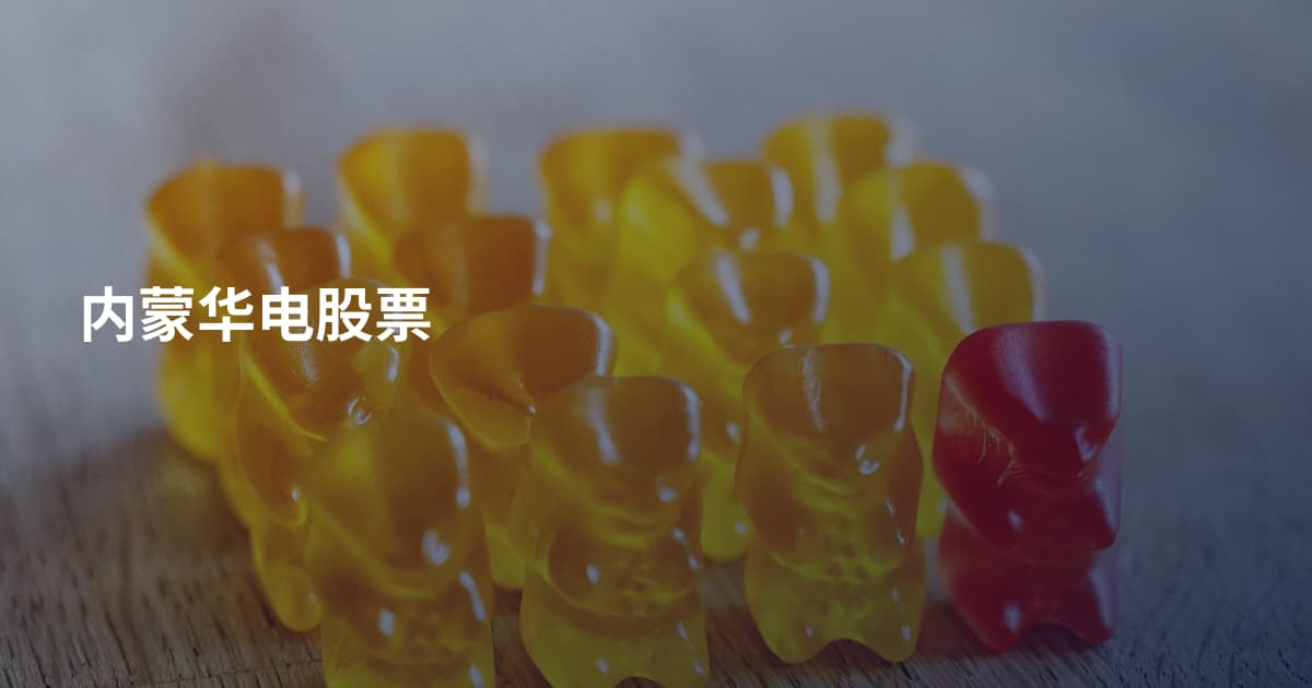 内蒙华电股票