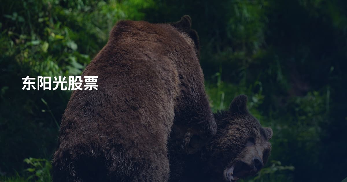 东阳光股票