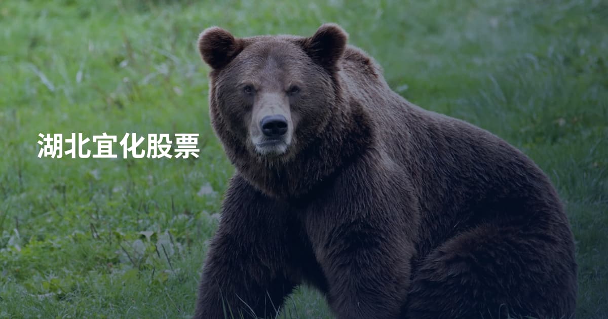 湖北宜化股票