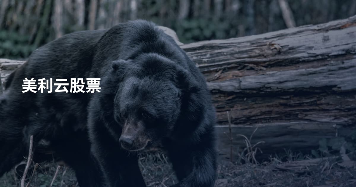 美利云股票