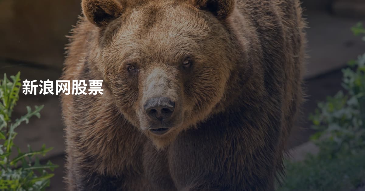 新浪网股票