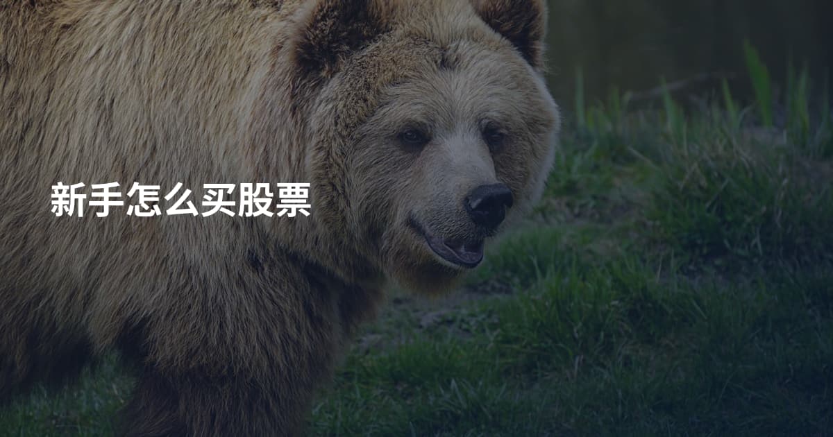 新手怎么买股票