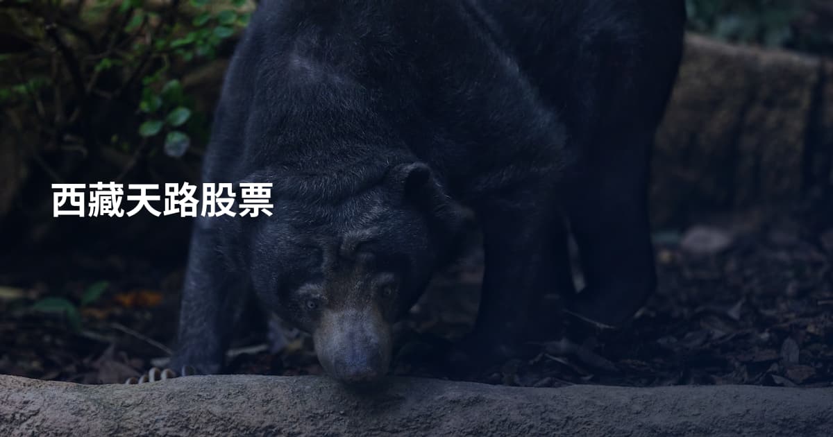 西藏天路股票