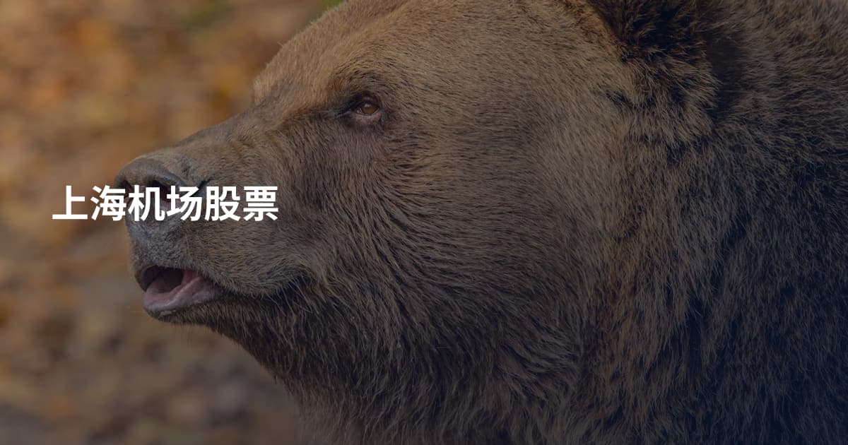 上海机场股票