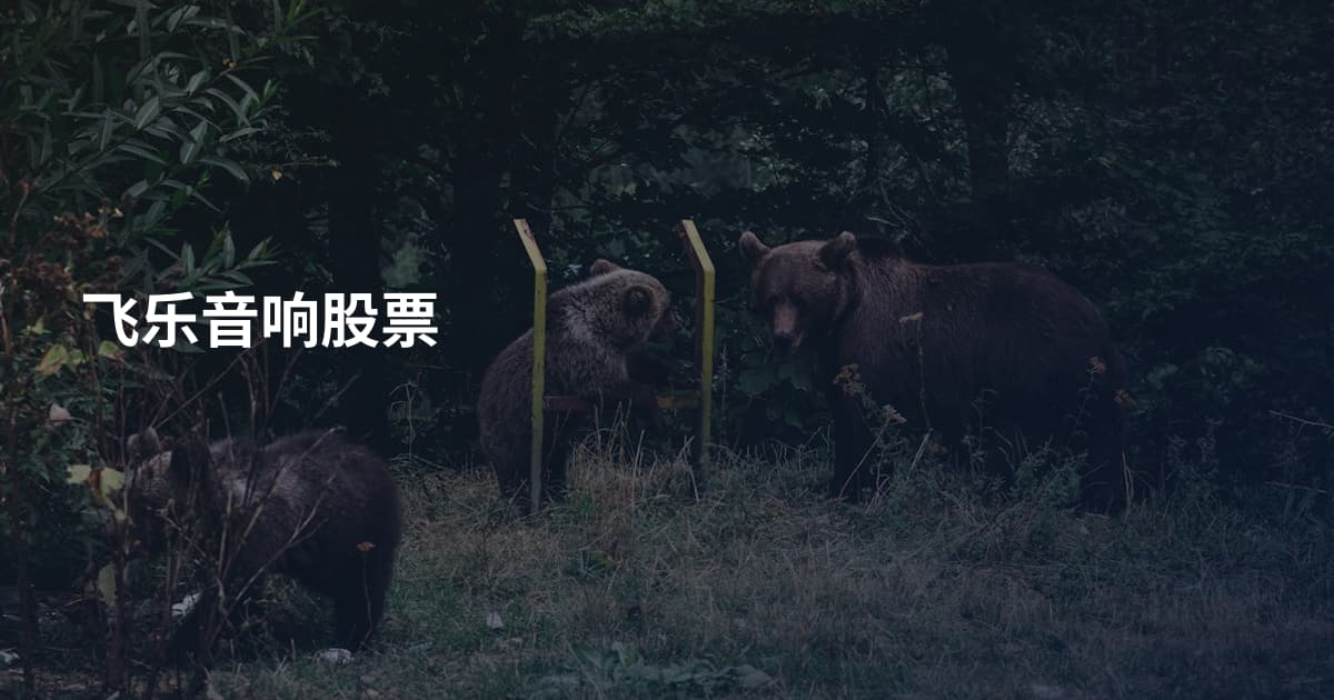 飞乐音响股票