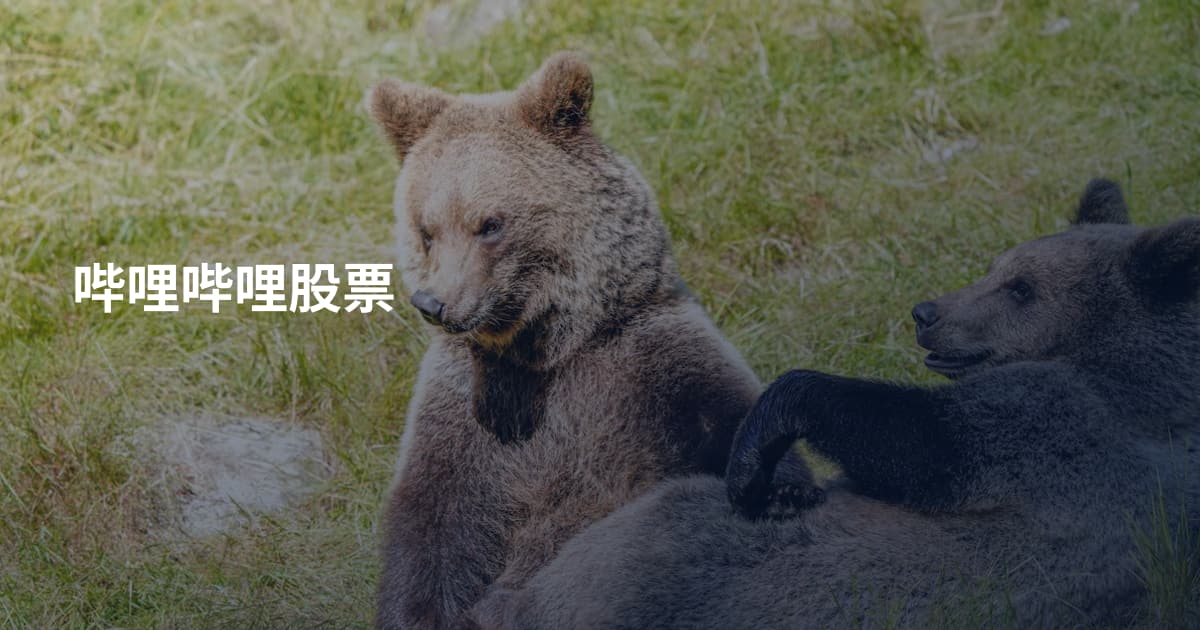哔哩哔哩股票