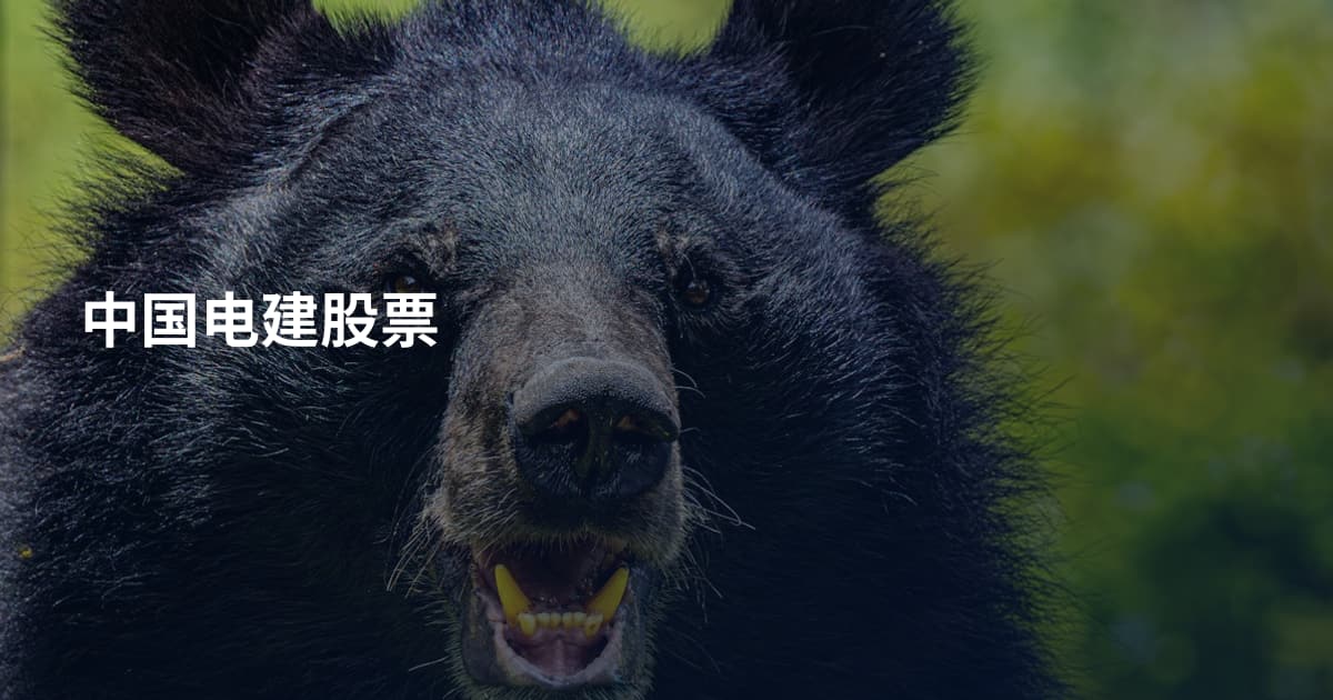 中国电建股票