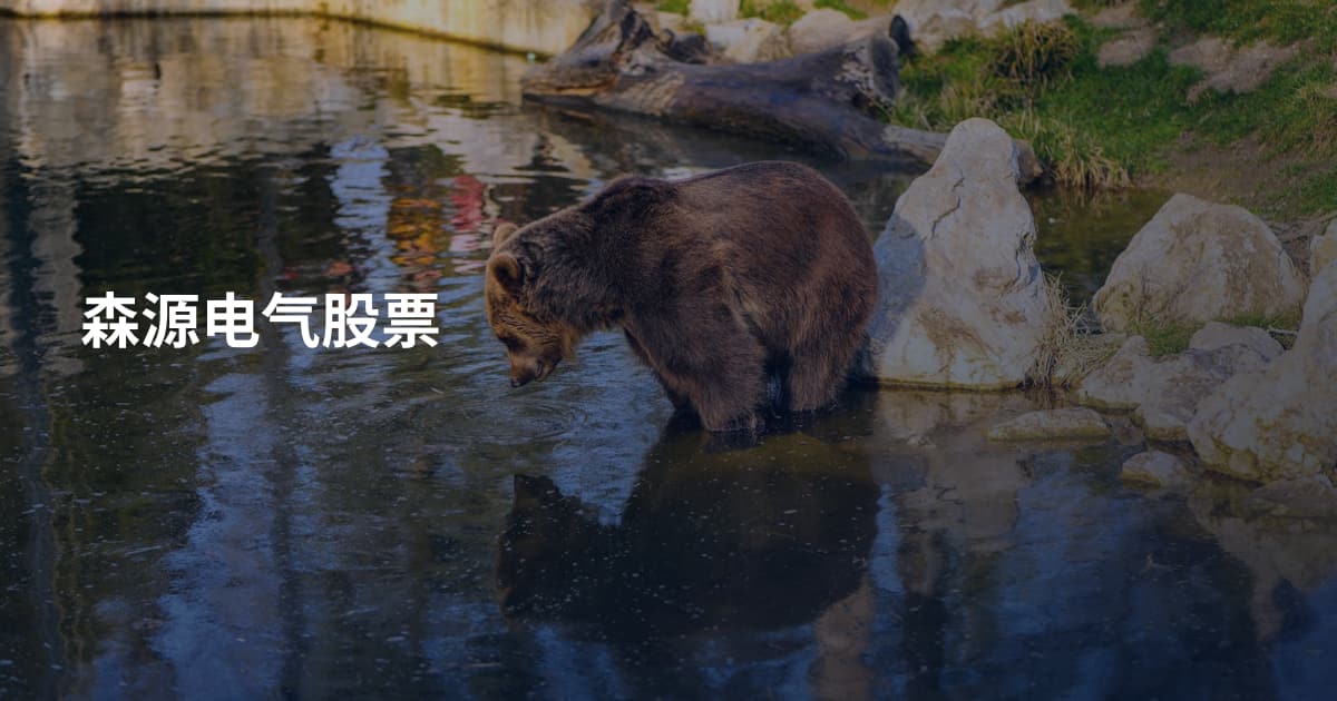 森源电气股票