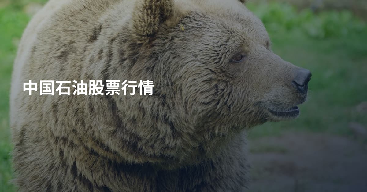 中国石油股票行情